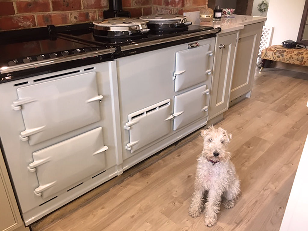 Nancy Rather Likes The New Enamel - Soft Pearl Grey